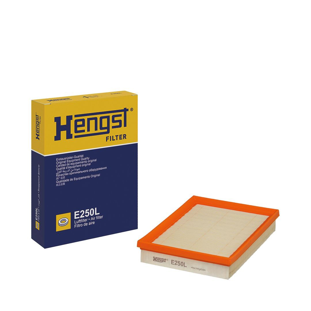 Filtr powietrza Hengst E250L cena, od 7,93 USD