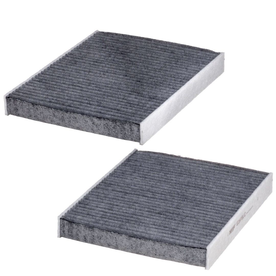 E2978LC2 Hengst Filtr kabiny