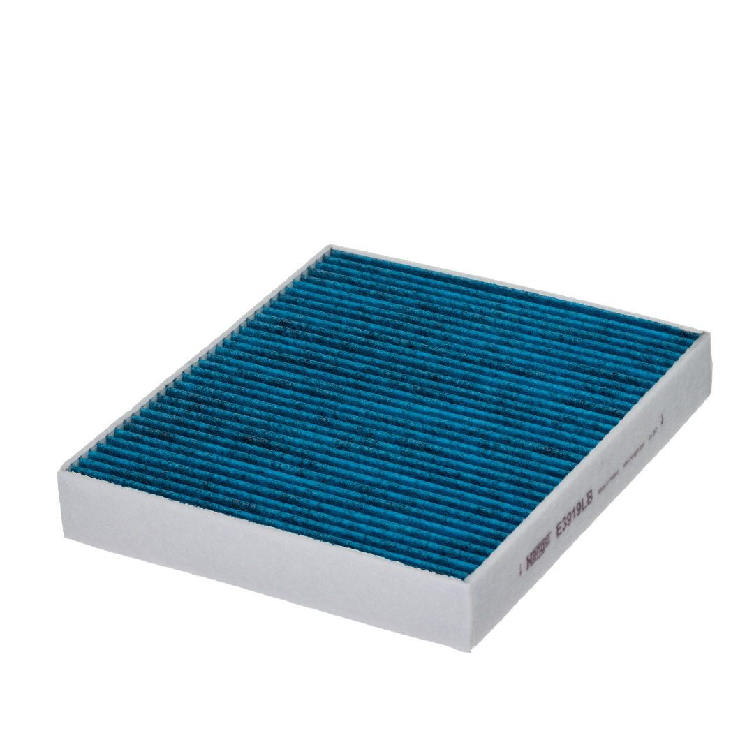 E3919LB Hengst Filtr kabiny