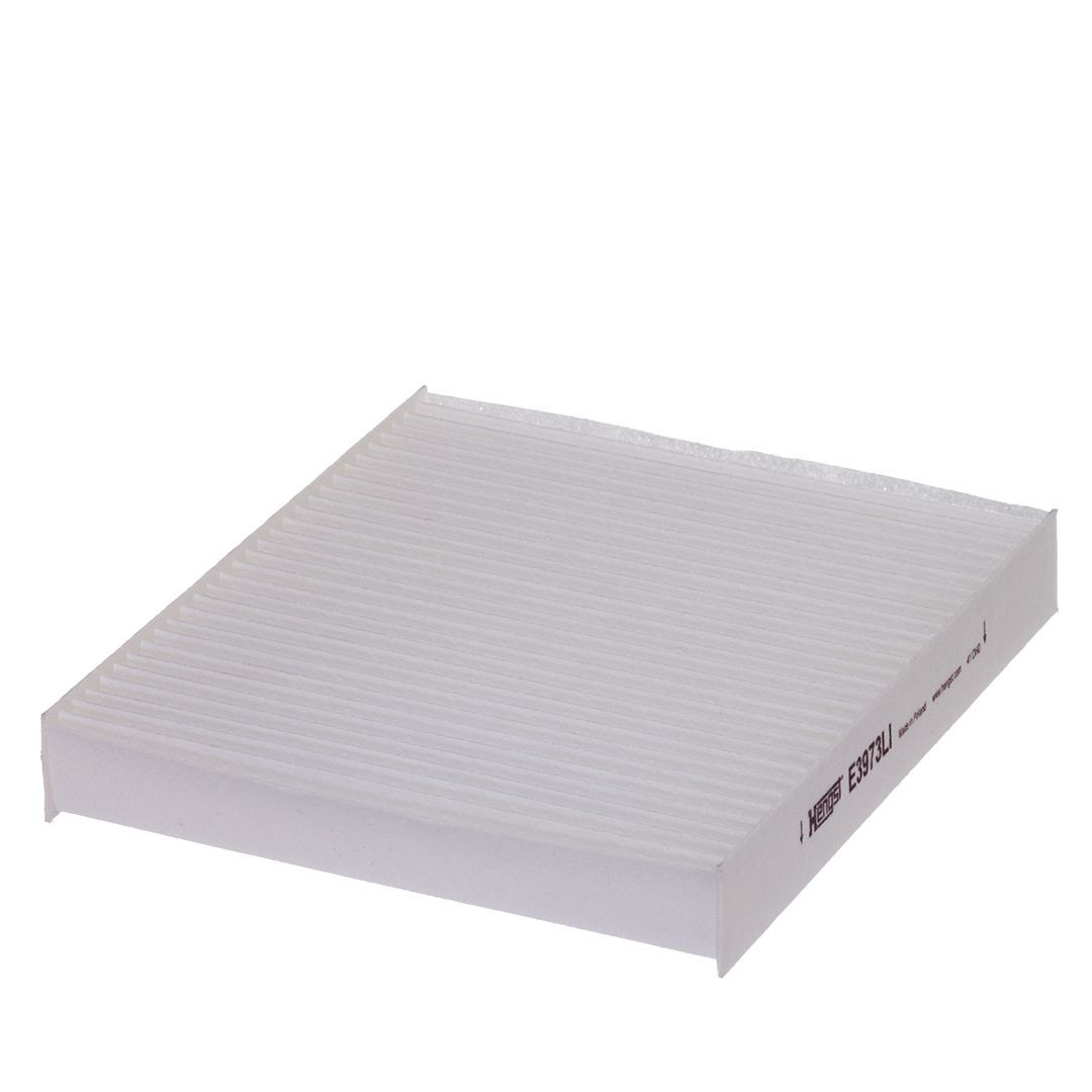 E3973LI Hengst Filtr kabiny