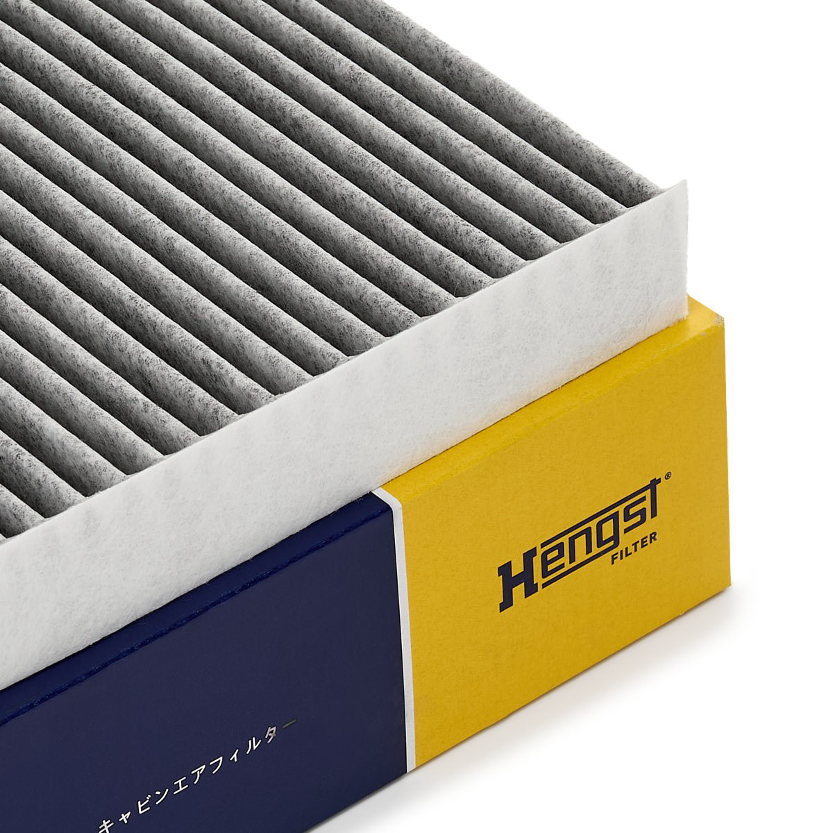 E4938LC2 Hengst Filtr kabiny