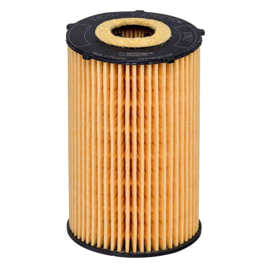 Filtr oleju Hengst E825HD265 cena, od 8,80 USD