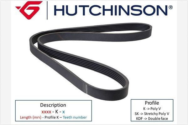 1564K6 Hutchinson