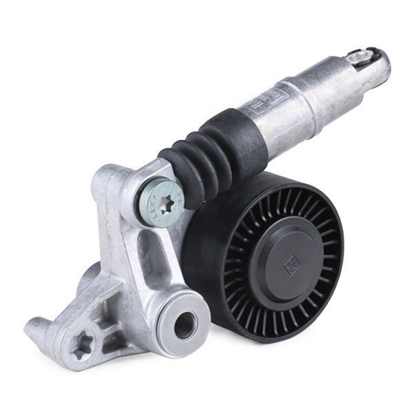 Napinacz paska napędowego INA 534035610 cena, od 45,54 USD