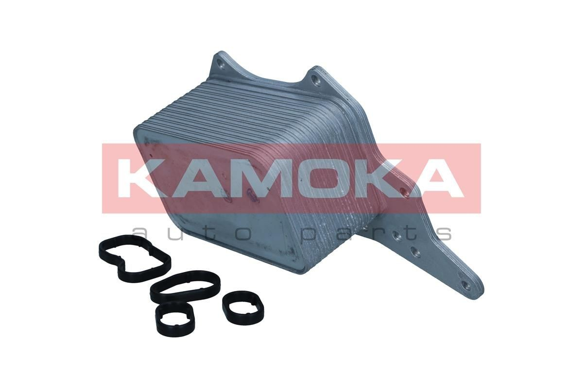7730118 Kamoka