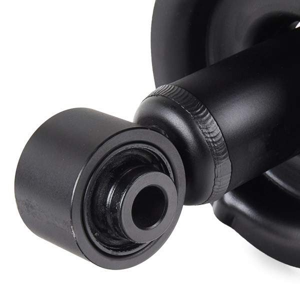 Amortyzator tylny Lexus GS sedana (JZS160) (1997 - 2005) cena, od 130,01 USD