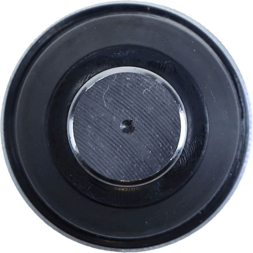 Sworzeń wahacza dolny Lemforder 3590801 cena, od 15,61 USD