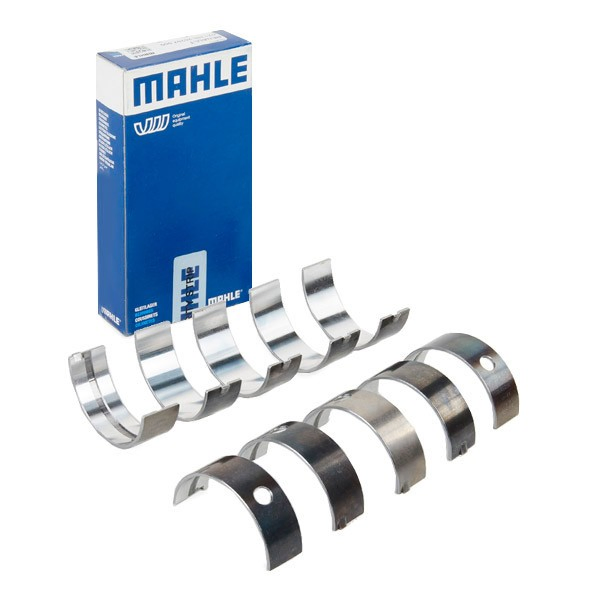 021HS20297000 Mahle Original