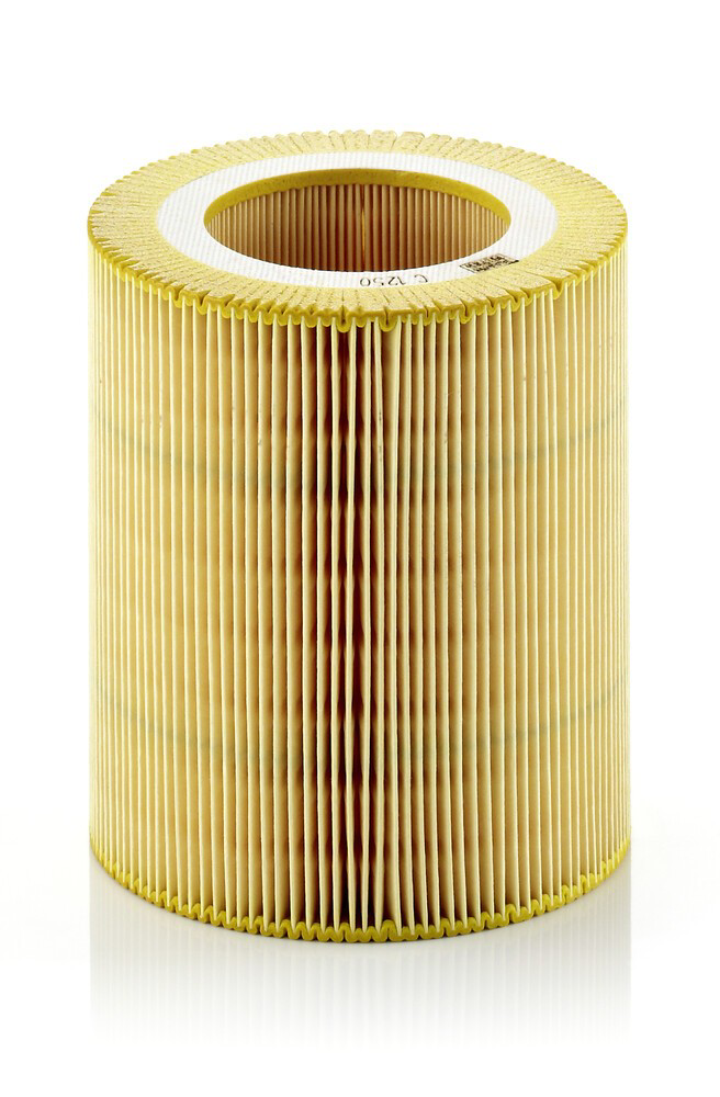 C1250 Mann-Filter Filtr powietrza