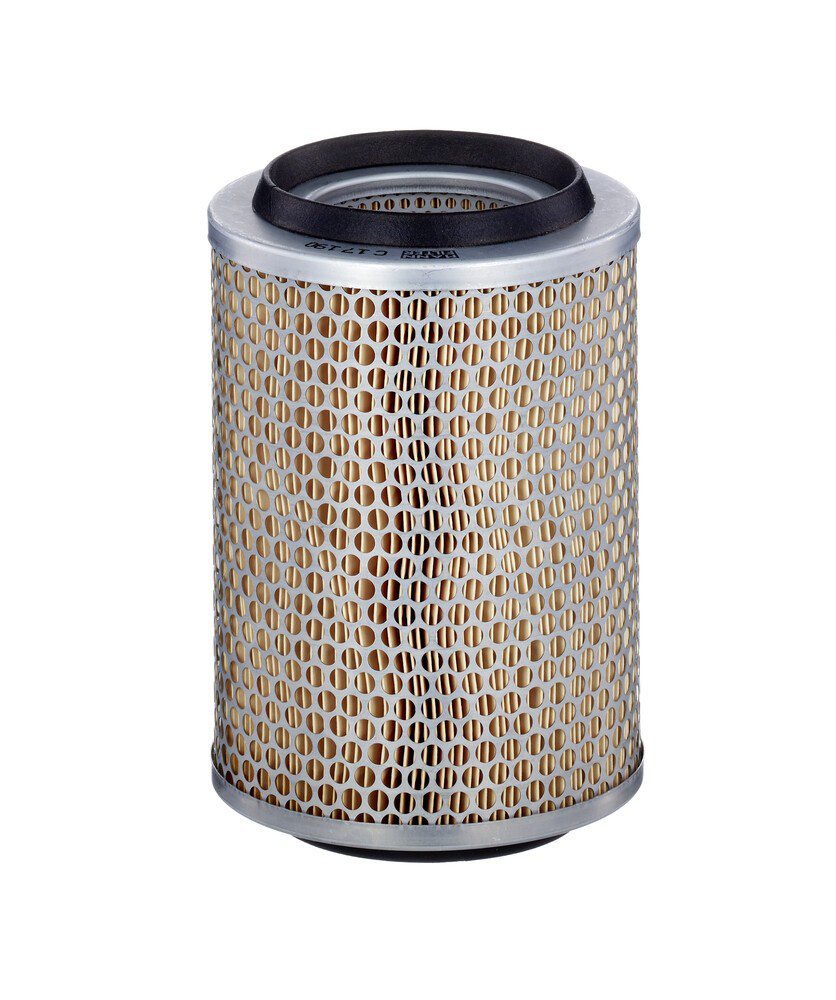 Do koszyka C17190 Mann-Filter Filtr powietrza