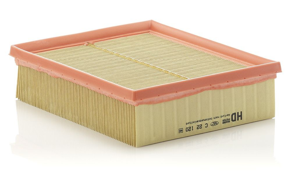 Filtr powietrza Mann-Filter C22120 cena, od 9,79 USD