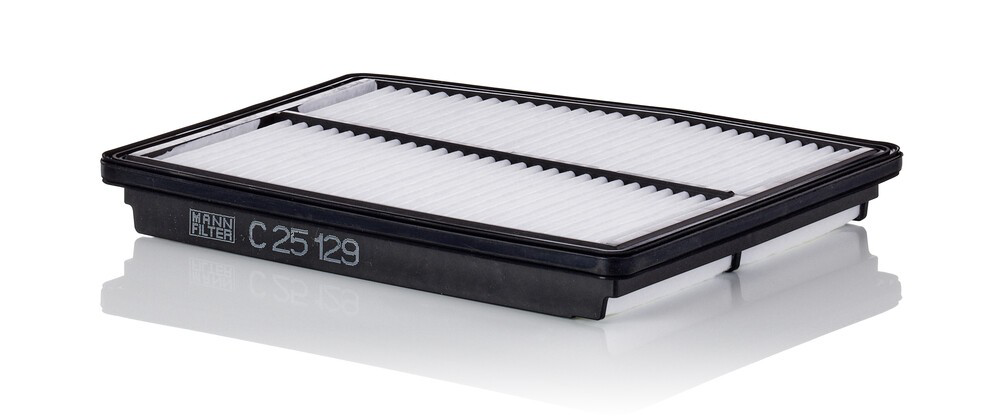 Filtr powietrza Mann-Filter C25129 cena, od 15,64 USD