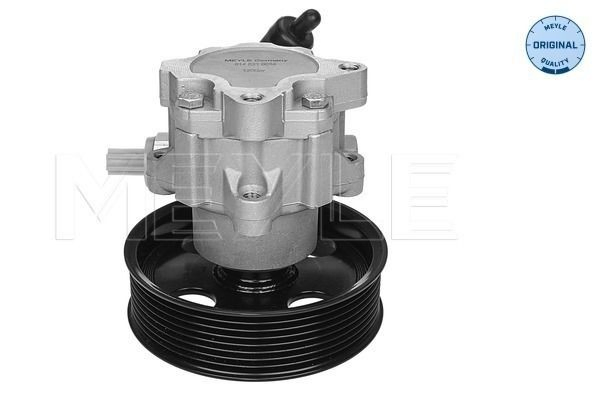 Pompa wspomagania hydraulicznego kierownicy do Mercedes GL  X164