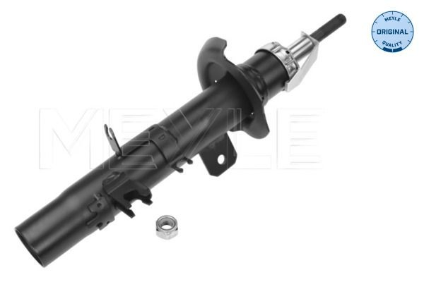 Amortyzator przedni lewy do Renault Laguna II KG0, KG1
