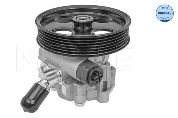Pompa wspomagania hydraulicznego kierownicy Opel Insignia A hatchback (G09) (2008 - 2017) cena, od 78,43 USD