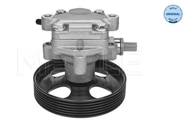 Pompa wspomagania hydraulicznego kierownicy Ford Fiesta Mk5 hatchback (JH, JD) (2001 - 2008) cena, od 46,48 USD