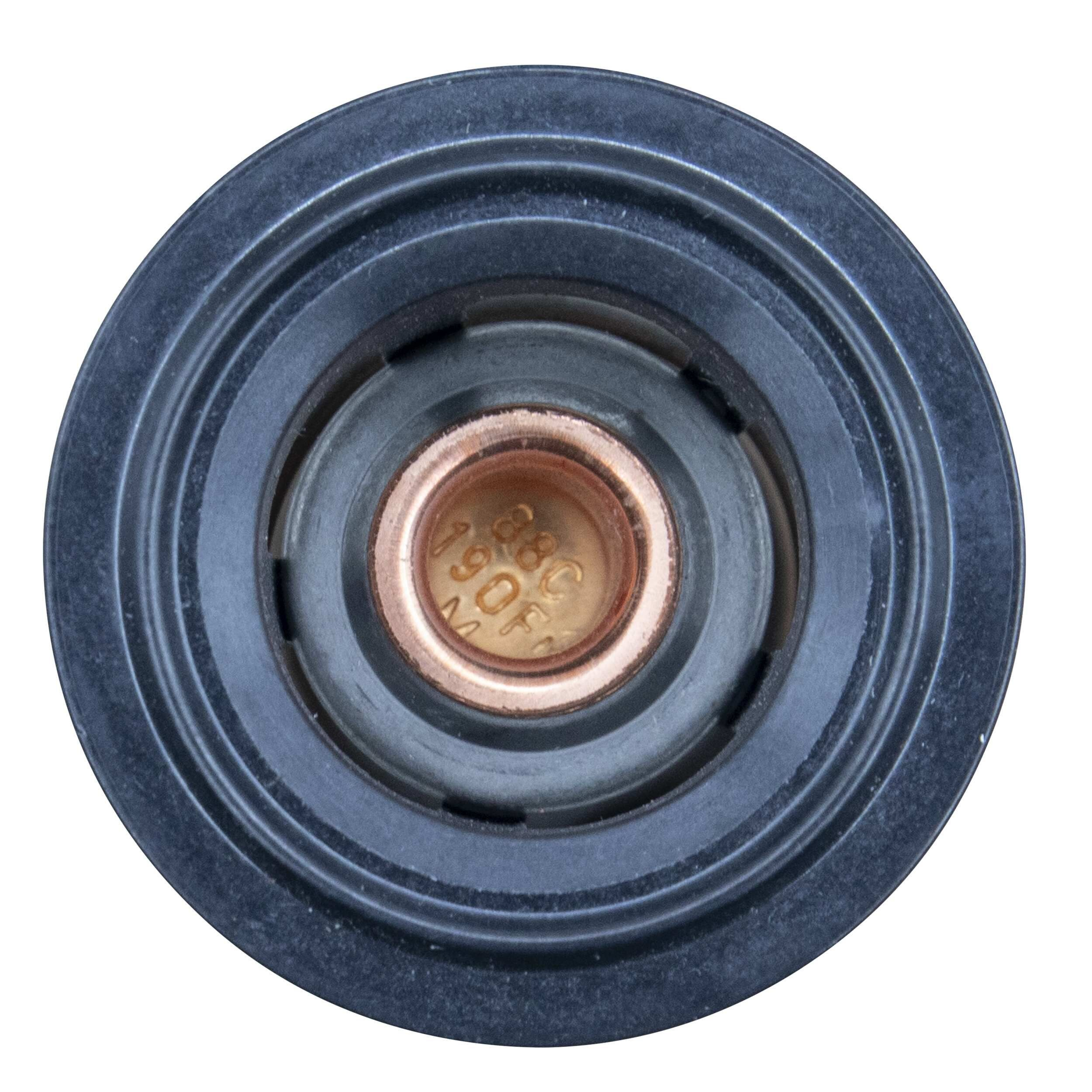 Do koszyka Termostat BMW X1  F48
