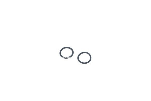  NRF 529504