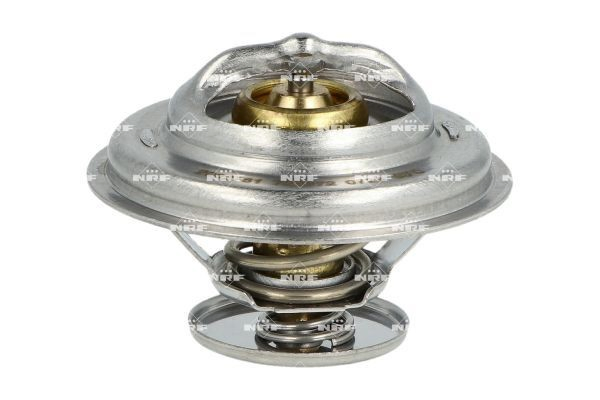  Termostat Mercedes 100 