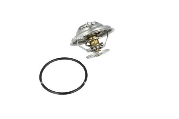  Termostat Mercedes 100 