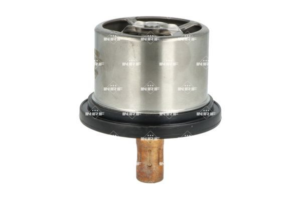  Termostat DAF 95 