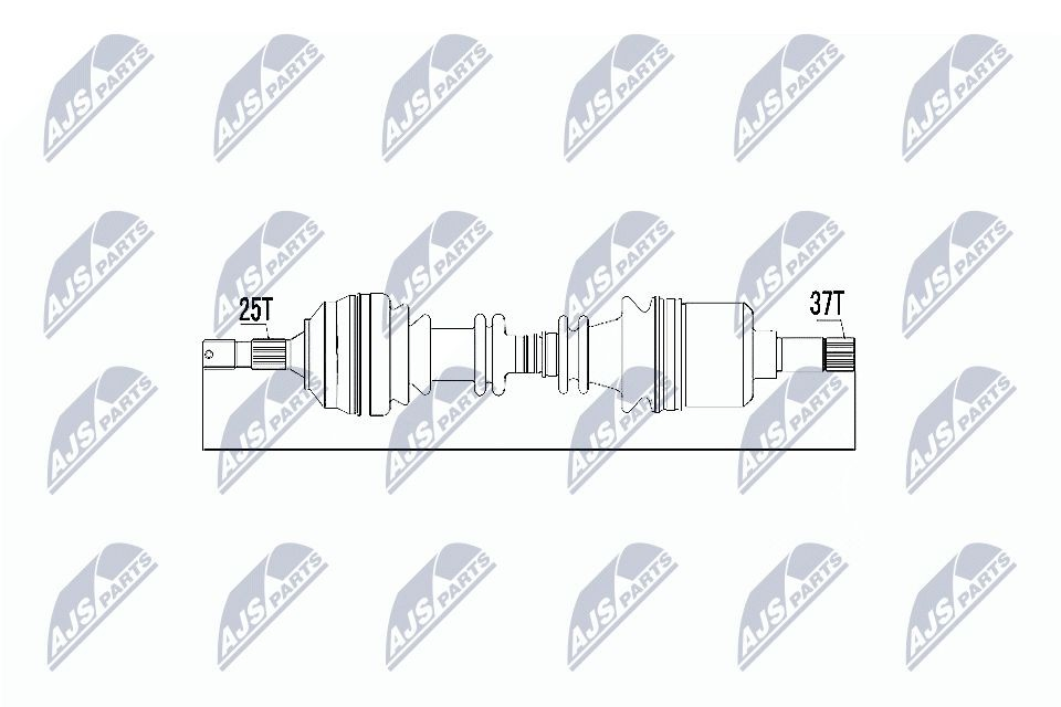 NPWCT016 NTY