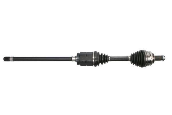 G2B063PC Pascal