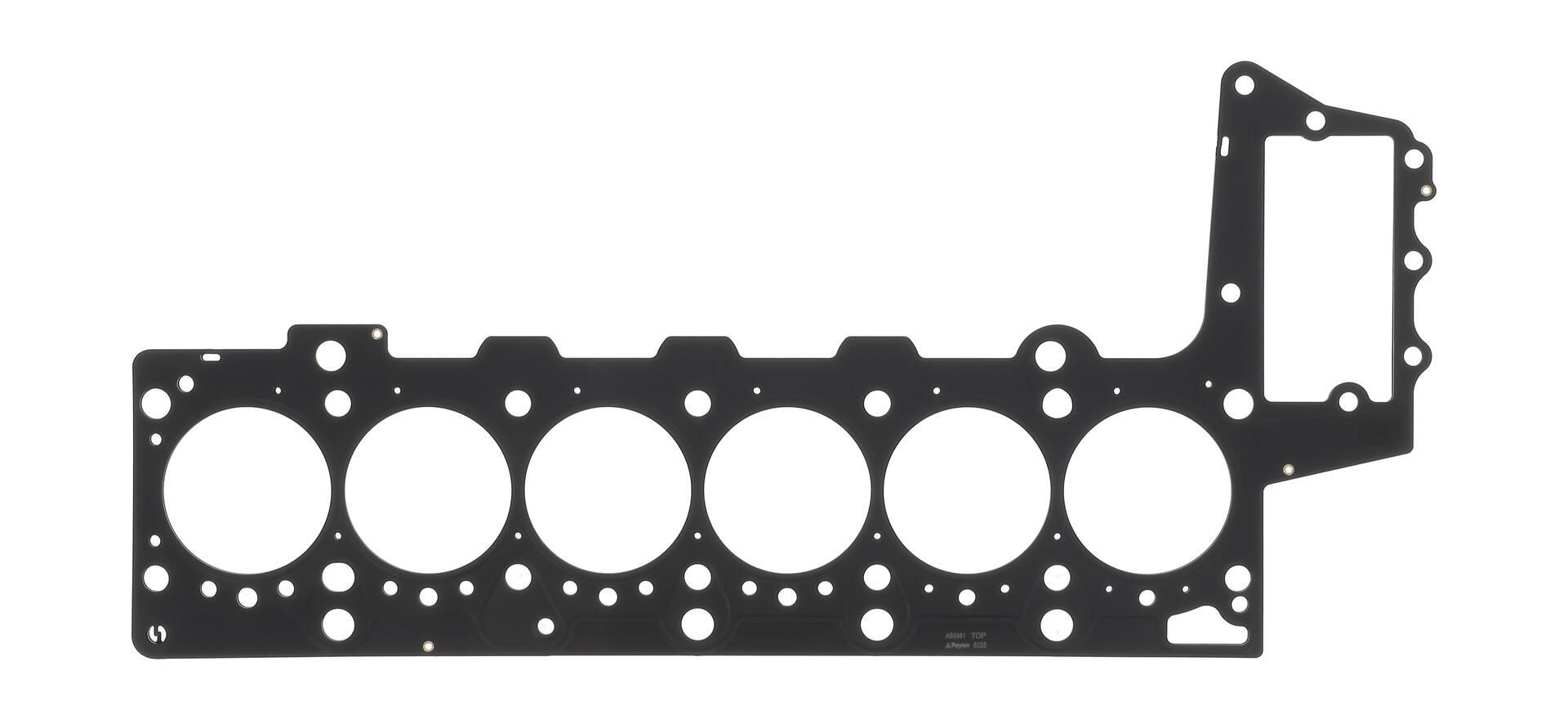 Uszczelka głowicy cylindrów Land Rover Range Rover III SUV (L322) (2002 - 2009) cena, od 49,39 USD