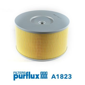 A1823 Purflux