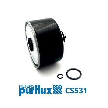 CS531 Purflux
