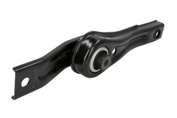 RH112010 Reinhoch