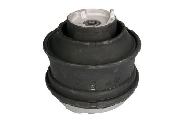 RH114060 Reinhoch