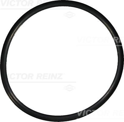 407614900 Victor Reinz