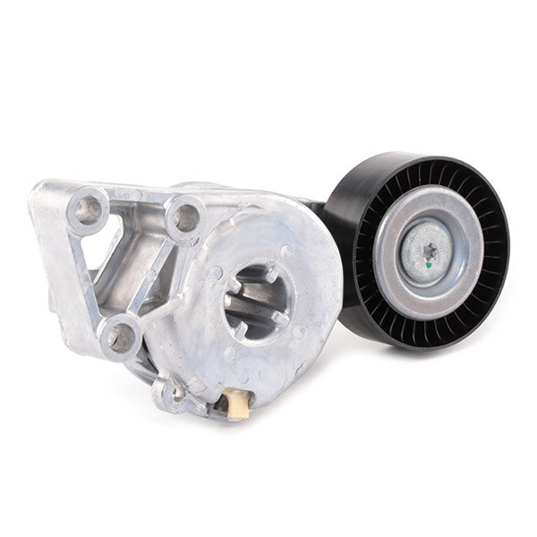 Napinacz paska napędowego SKF VKM31011 cena, od 19,49 USD