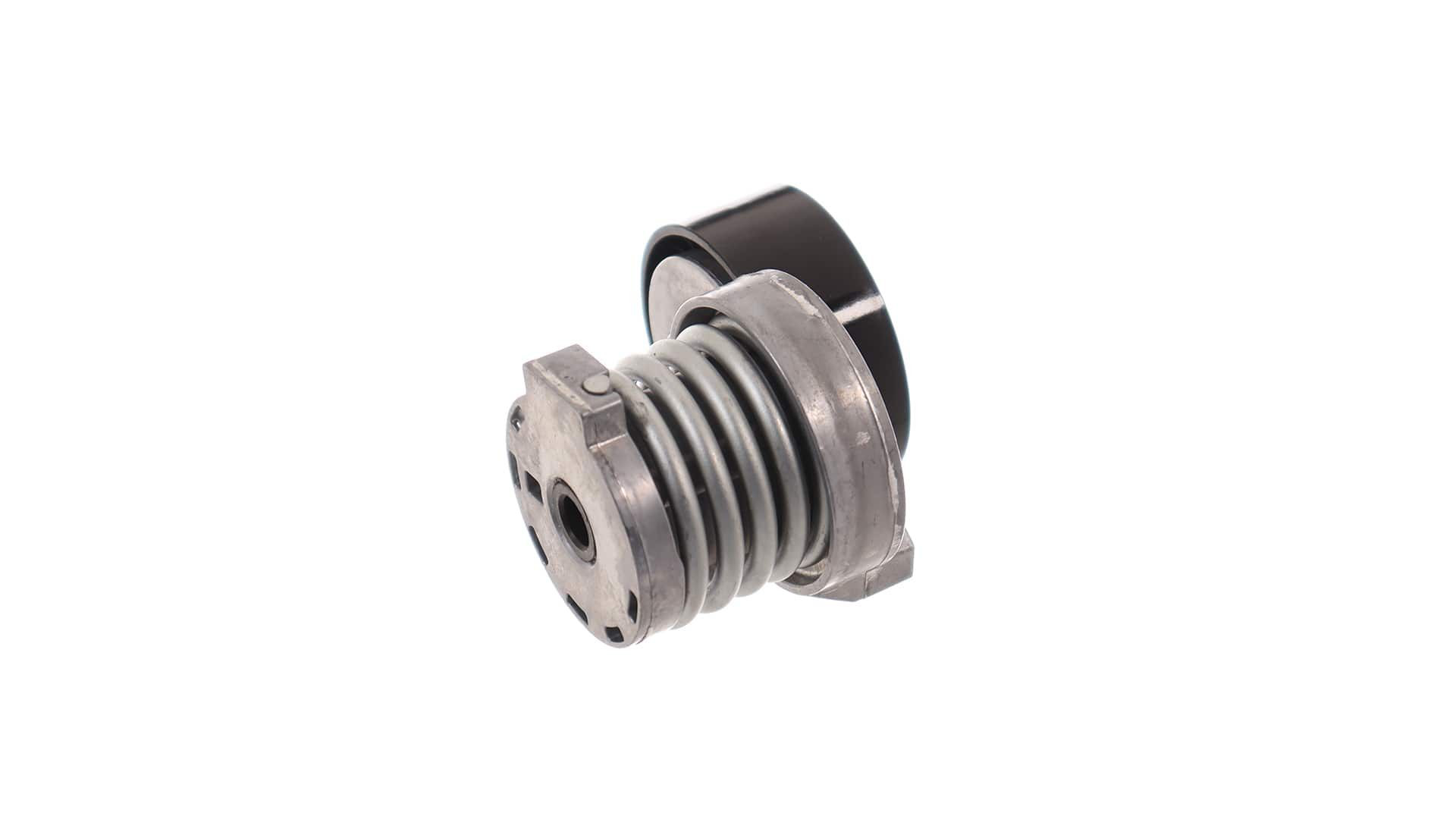 VKM36146 SKF Napinacz paska napędowego