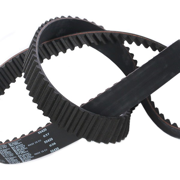 Pasek rozrządu, zestaw SKF VKMC019181 cena, od 226,34 USD