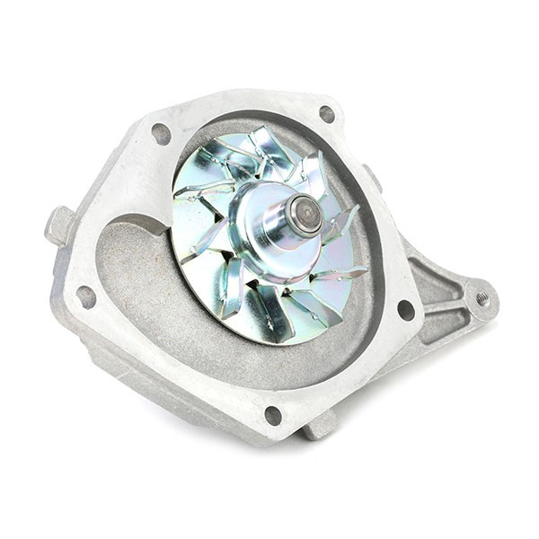 VKMC061341 SKF Pasek rozrządu, zestaw