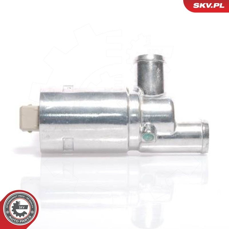 Regulator biegu jałowego do Volkswagen Polo III 6KV2
