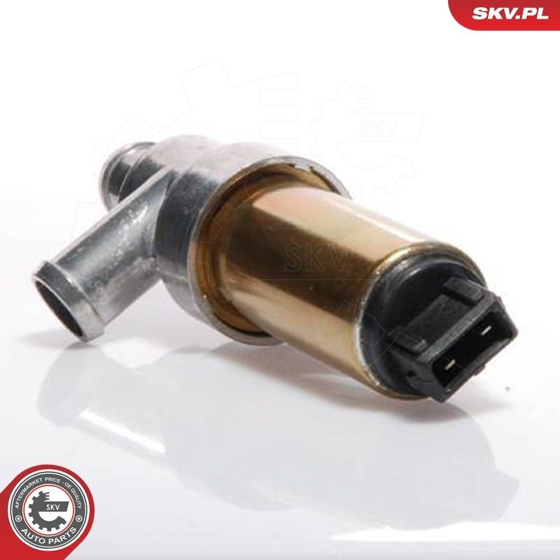 Do koszyka Regulator biegu jałowego Volkswagen Vento  1H2