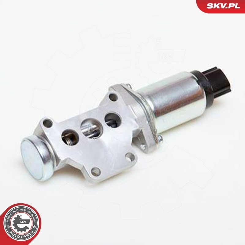  Regulator biegu jałowego Nissan Primera 