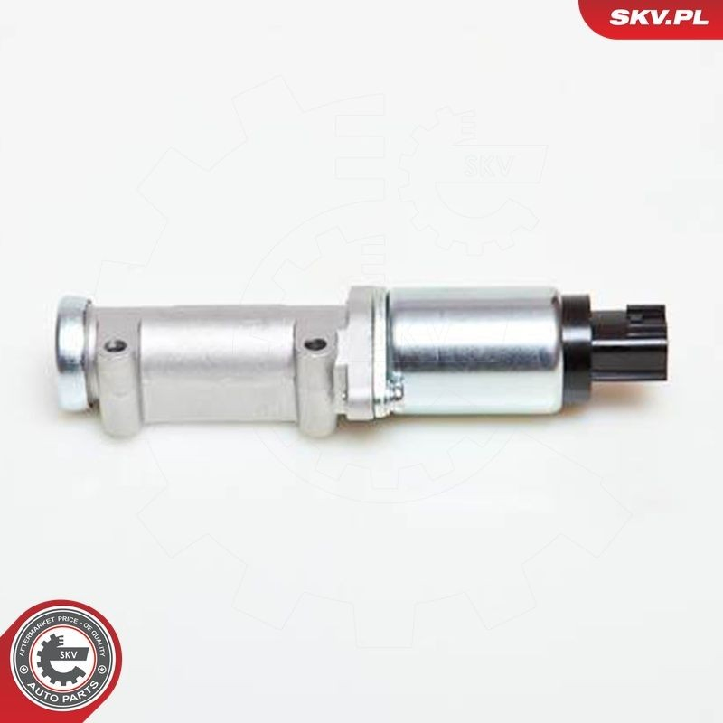 08SKV218 SKV Regulator biegu jałowego