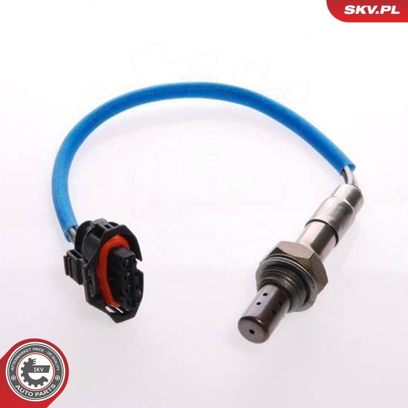 09SKV073 SKV