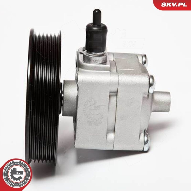 10SKV033 SKV