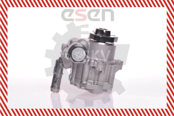 10SKV166 SKV