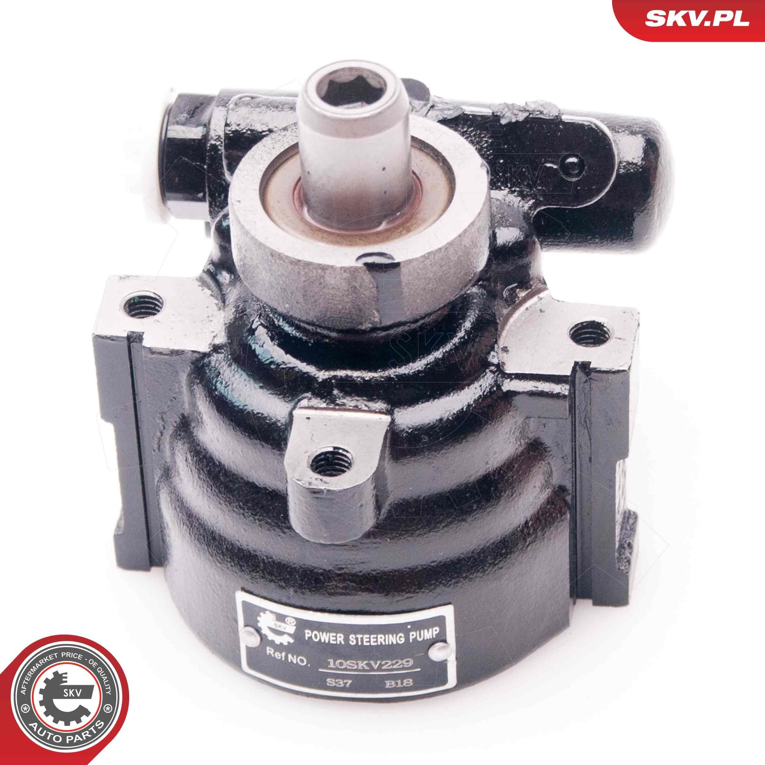 10SKV229 SKV