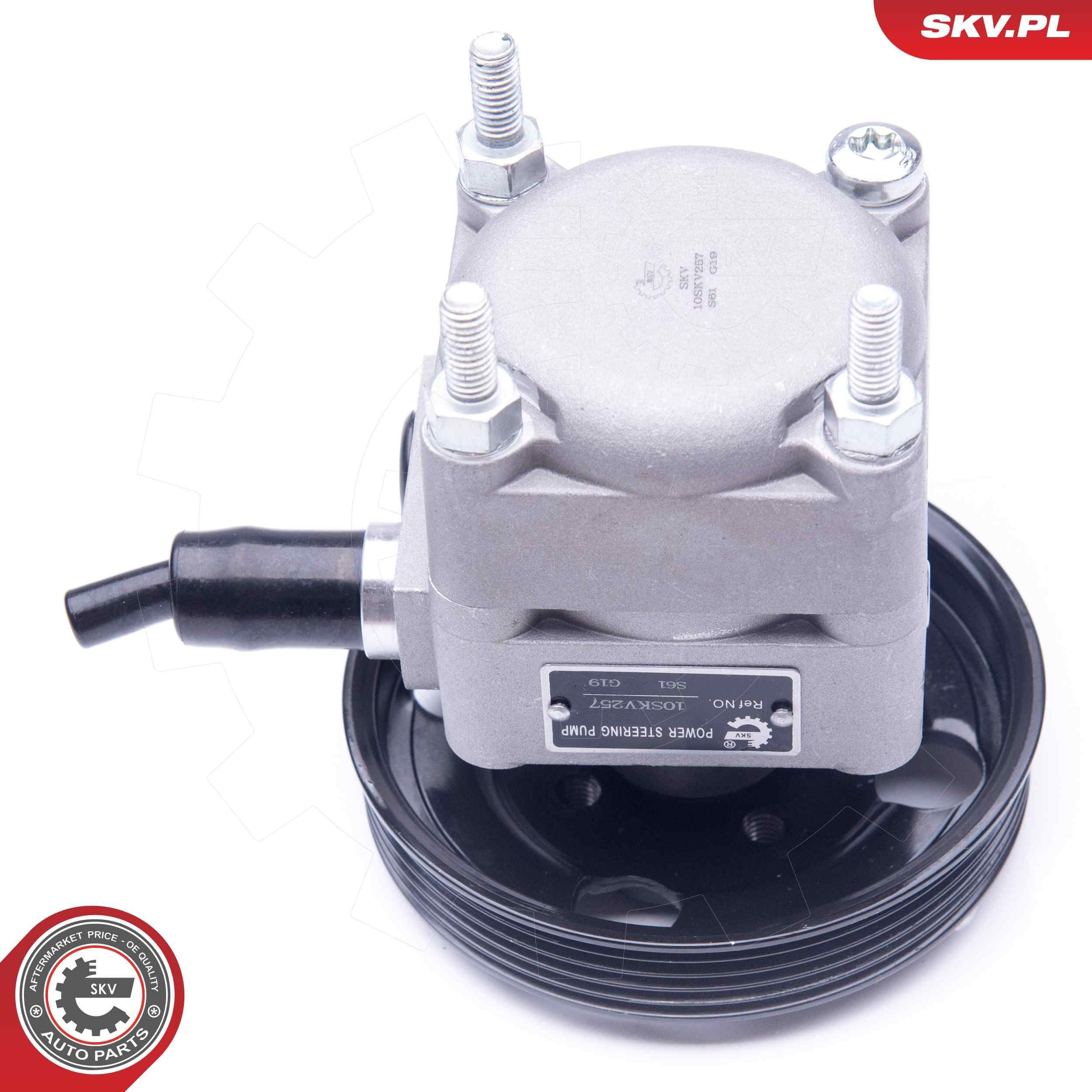10SKV257 SKV