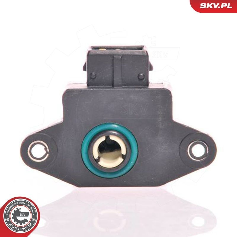 17SKV005 SKV