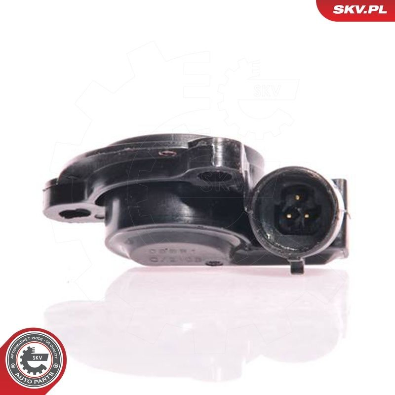 17SKV006 SKV