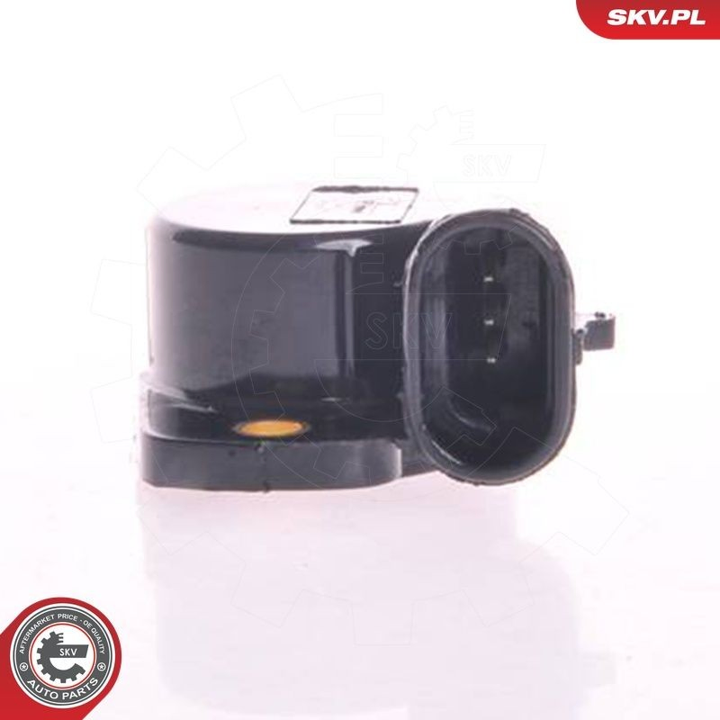 17SKV010 SKV