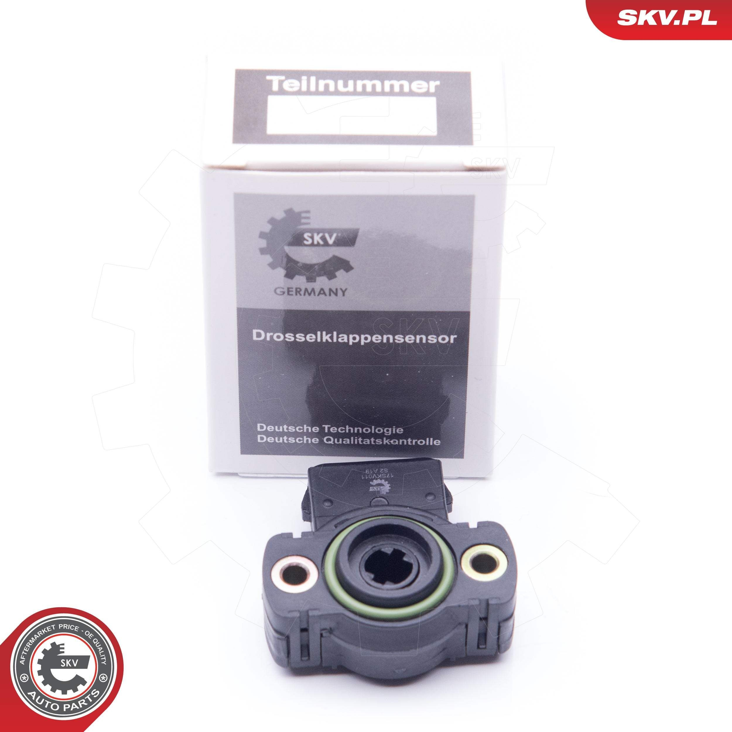17SKV011 SKV